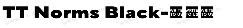 TT Norms Black字体转换